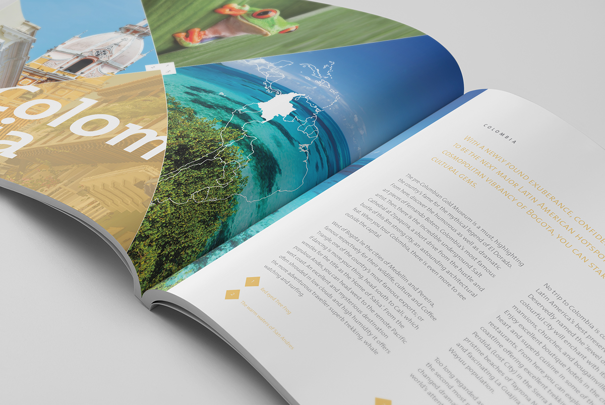 Nuevo Mundo Brochure Design